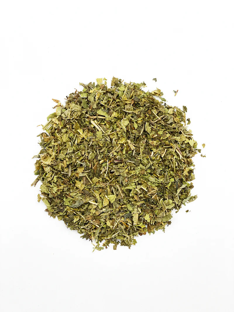 Moringa Orgánica