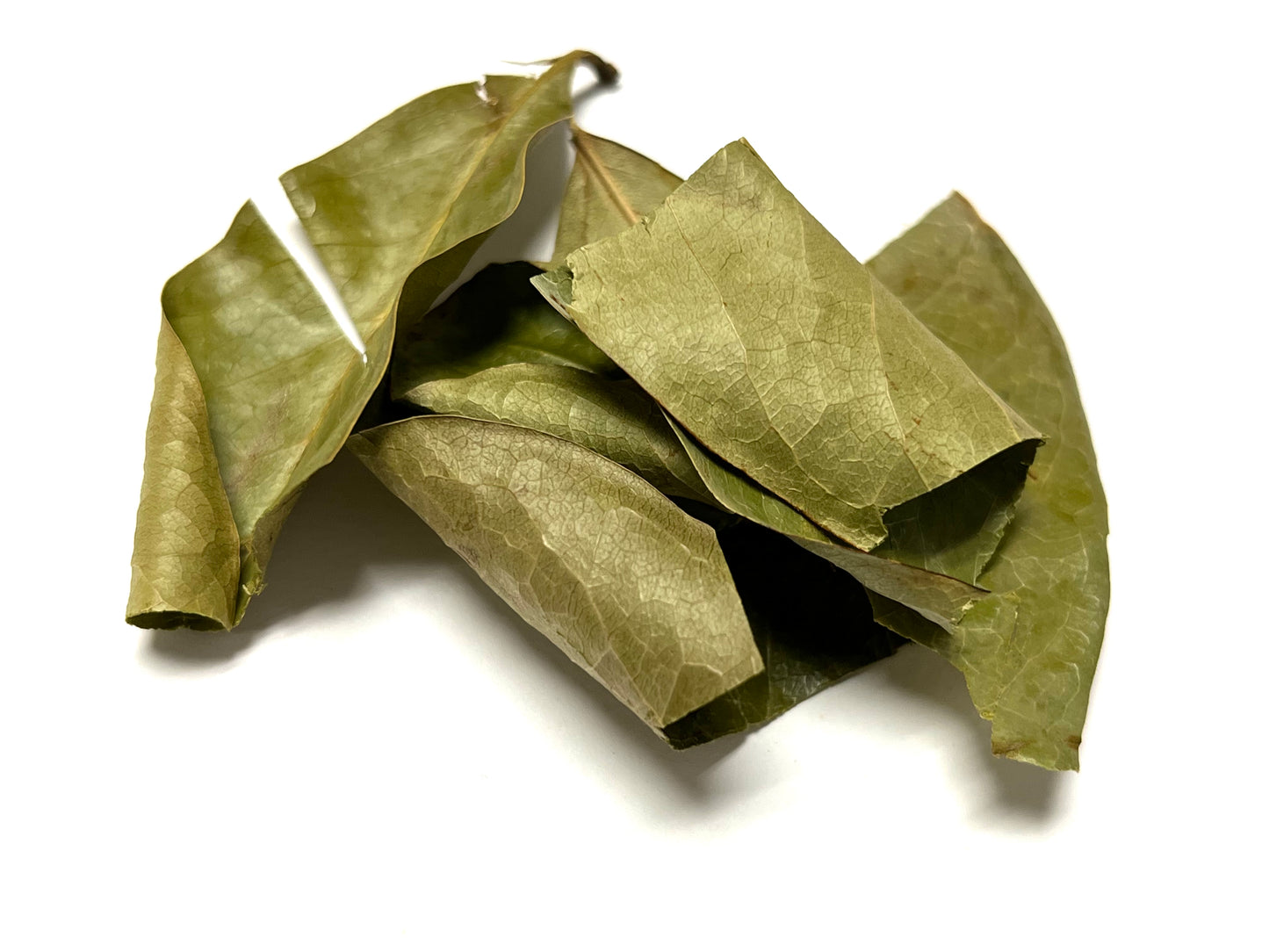 Hojas de Guanábana