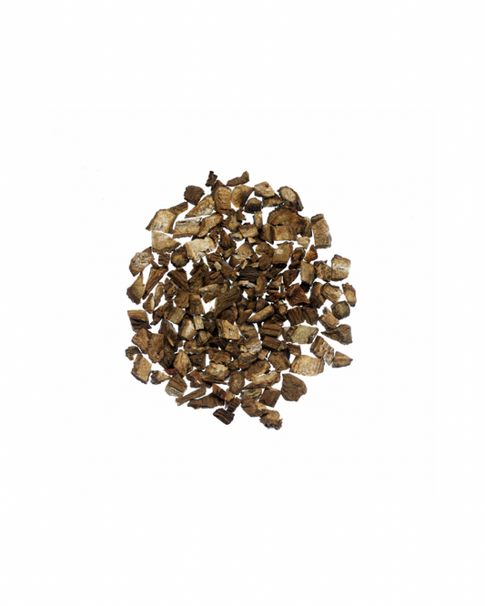 Burdock Root