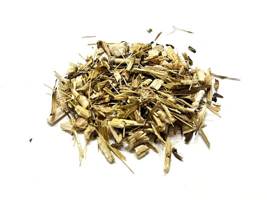 Echinacea