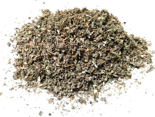 Salvia