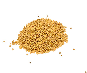 Mustard Seeds(Semillas de Mostaza)